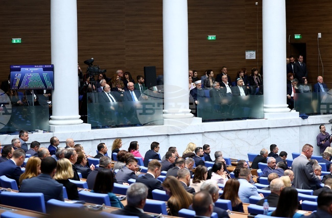 Парламентът създаде Временна комисия по правни въпроси, оглави я Янка Тянкова от „Прогресивна България“