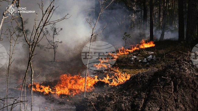Голям горски пожар се разрази в радиоактивната зона на Чернобил след падането на дрон, съобщиха властите
