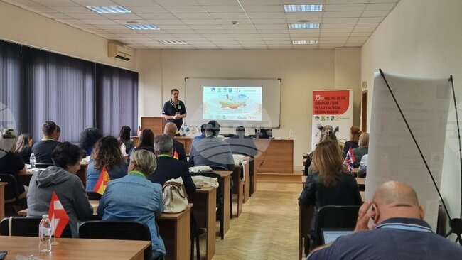 В България има ръст над 30 процента на популацията на белия щъркел, показват данните от последното международно преброяване