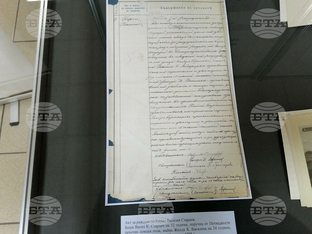 Видин - изложба