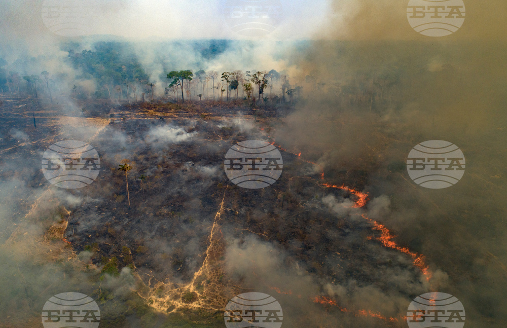 Brazil Amazon Deforestation Wildfires