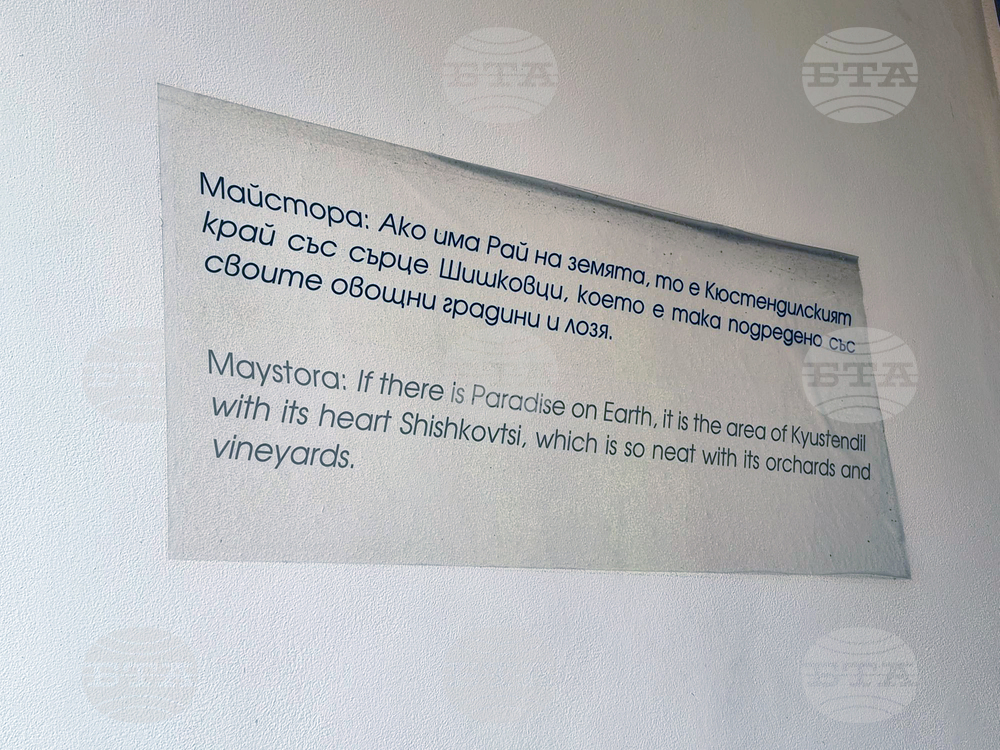 Село Шишковци - къща музей „Владимир Димитров – Майстора“ - арт кафе