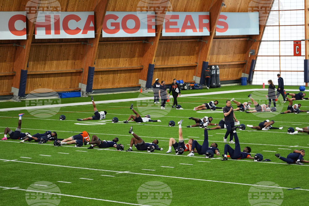 Bears Rookies Football
