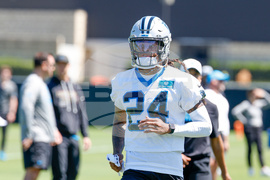 Panthers Rookies Football