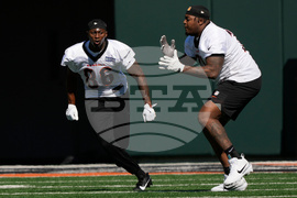 Bengals Rookies Football