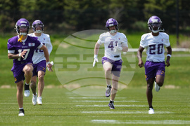 Vikings Rookies Football