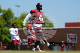 Cardinals Rookies Football