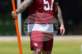 Cardinals Rookies Football