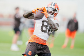 Browns Rookies Football