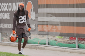 Browns Rookies Football