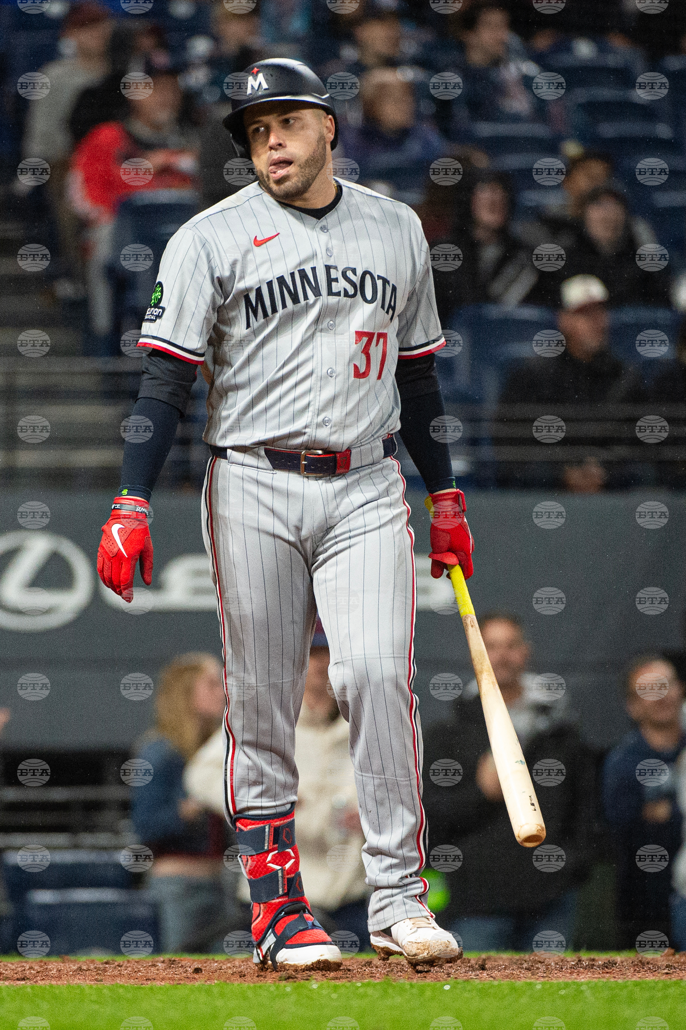 Twins Guardians Baseball