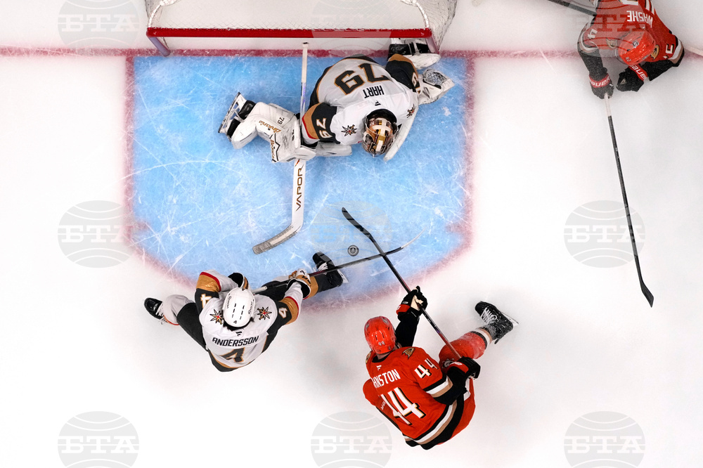 Golden Knights Ducks Hockey