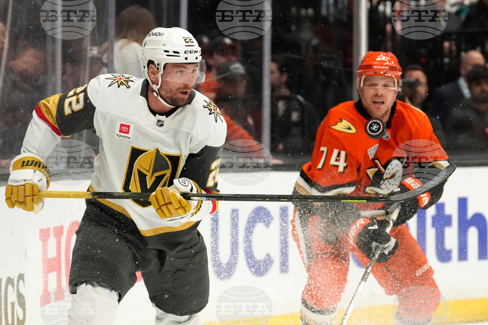 Golden Knights Ducks Hockey