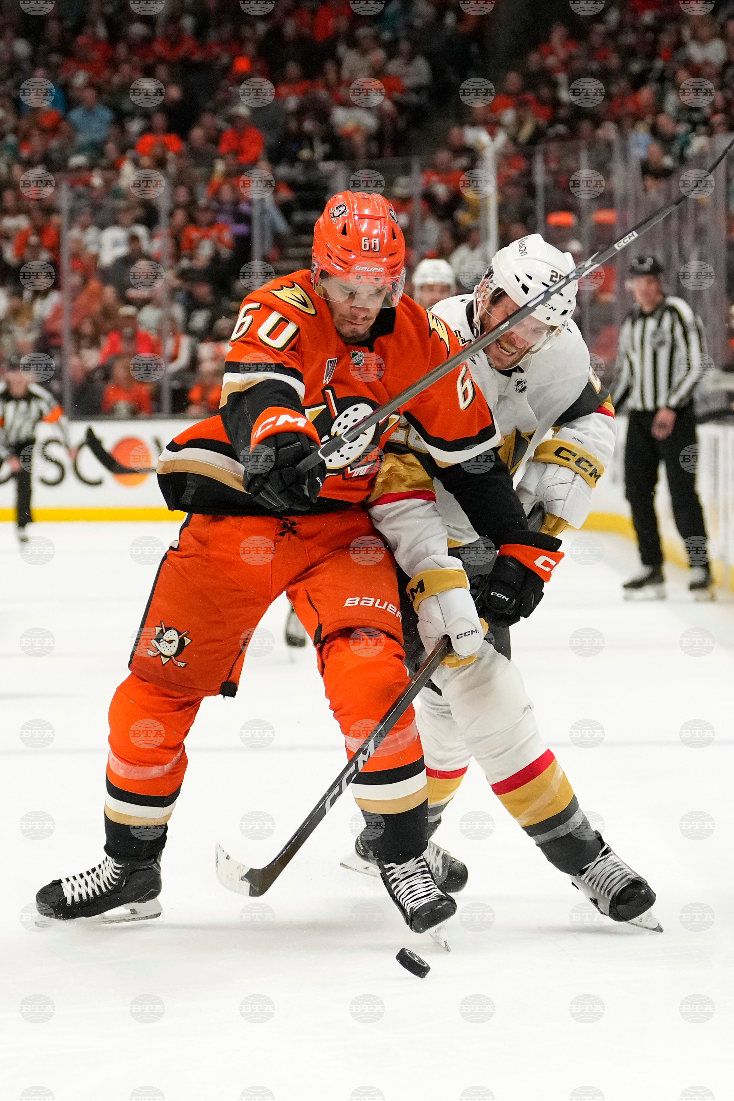 Golden Knights Ducks Hockey