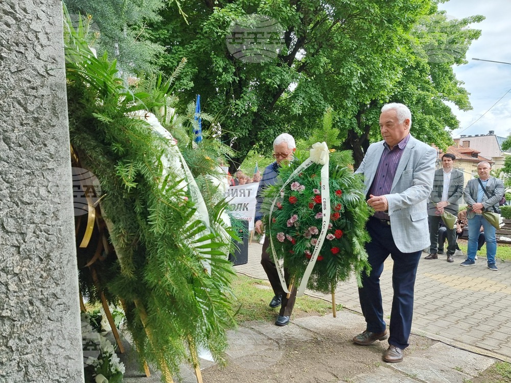 Кюстендил - Ден на Европа