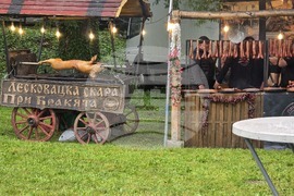 Плевен - фермерски пазар - концерт на Деси Добрева