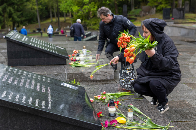 Lithuania Victory Day