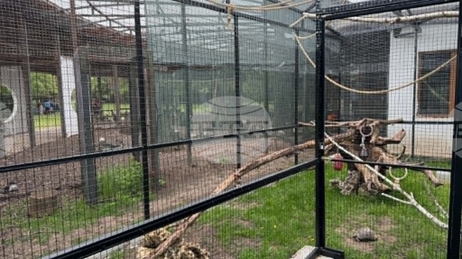 В Центъра за защита на природата и животните в Добрич беше представена нова волиера с двойка папагали „Кралско Жако“
