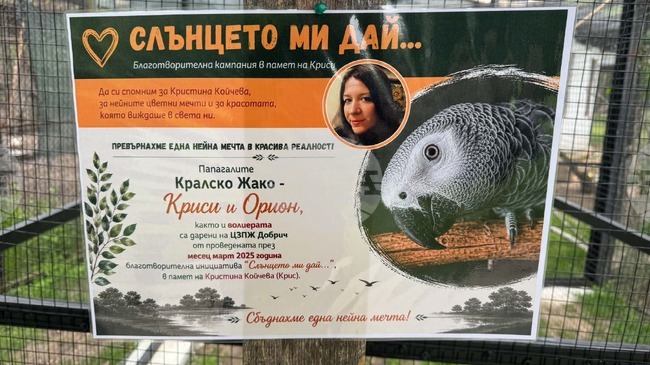 Добрич - зооцентър - папагали