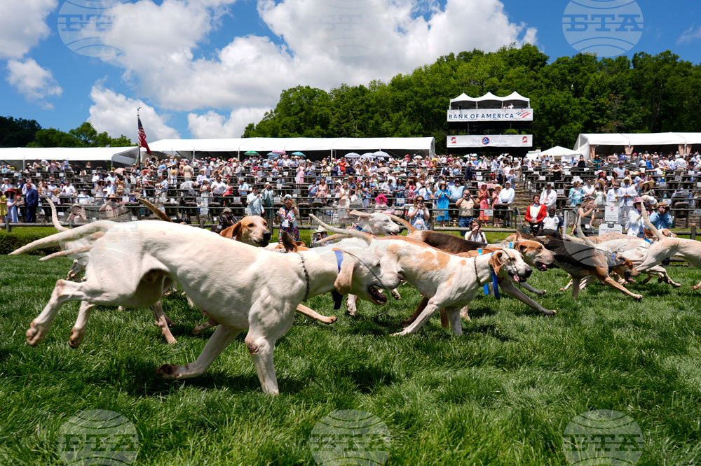 Iroquois Steeplechase Foxhounds