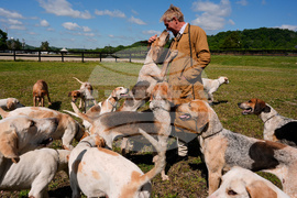 Iroquois Steeplechase Foxhounds
