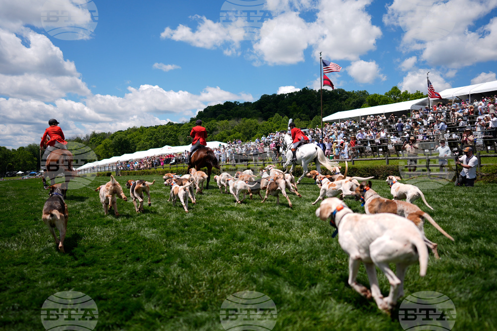 Iroquois Steeplechase Foxhounds