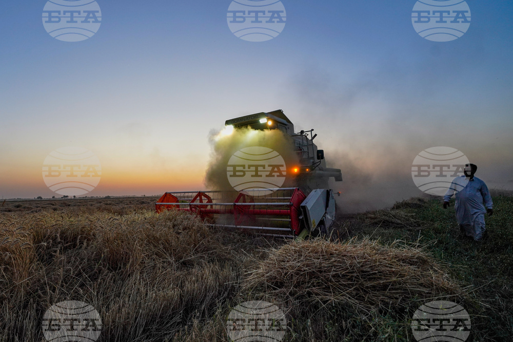 Iraq Daily Life
