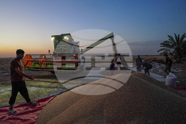 Iraq Daily Life