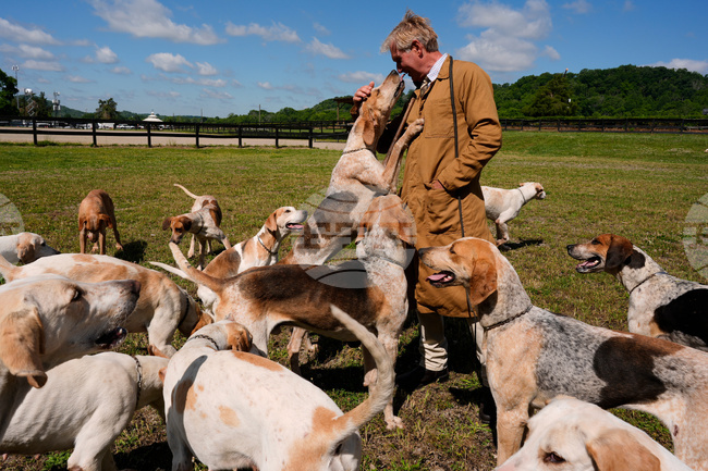 APTOPIX Iroquois Steeplechase Foxhounds
