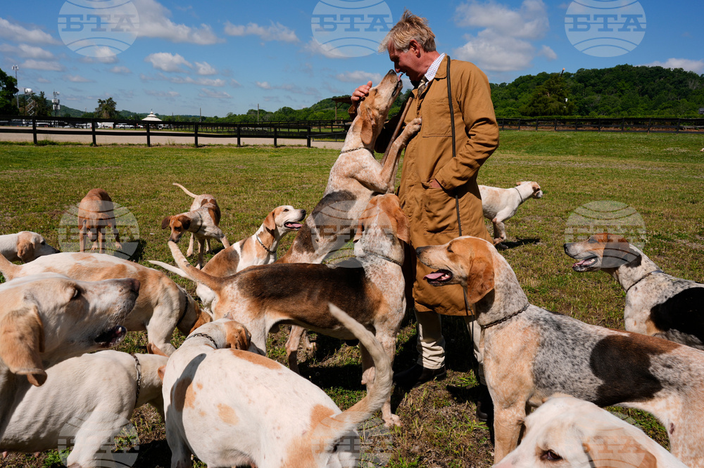 APTOPIX Iroquois Steeplechase Foxhounds