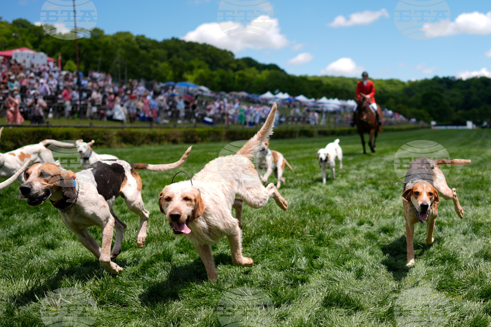 APTOPIX Iroquois Steeplechase Foxhounds
