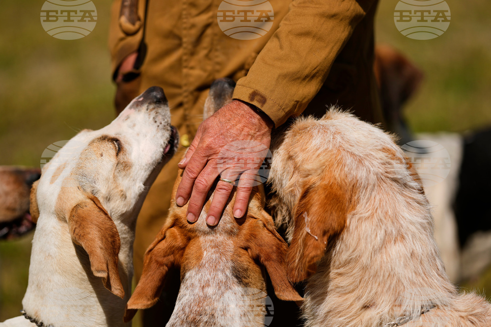 Iroquois Steeplechase Foxhounds