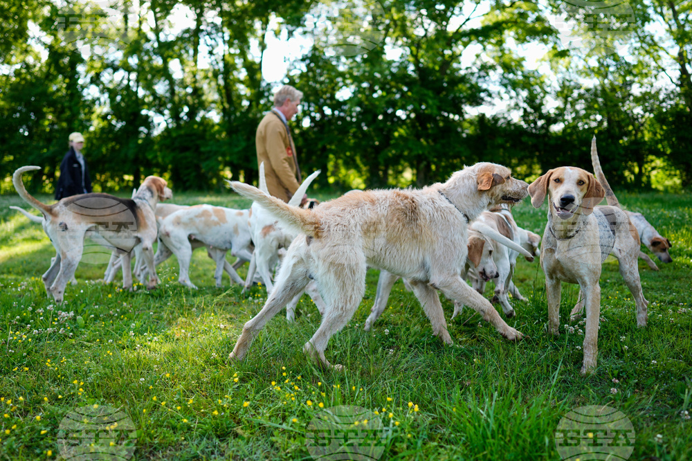 Iroquois Steeplechase Foxhounds