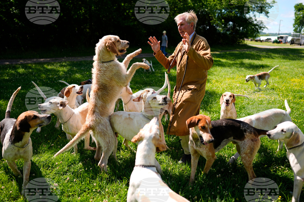 Iroquois Steeplechase Foxhounds