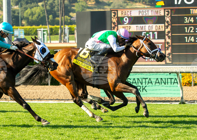 Santa Anita Horse Racing