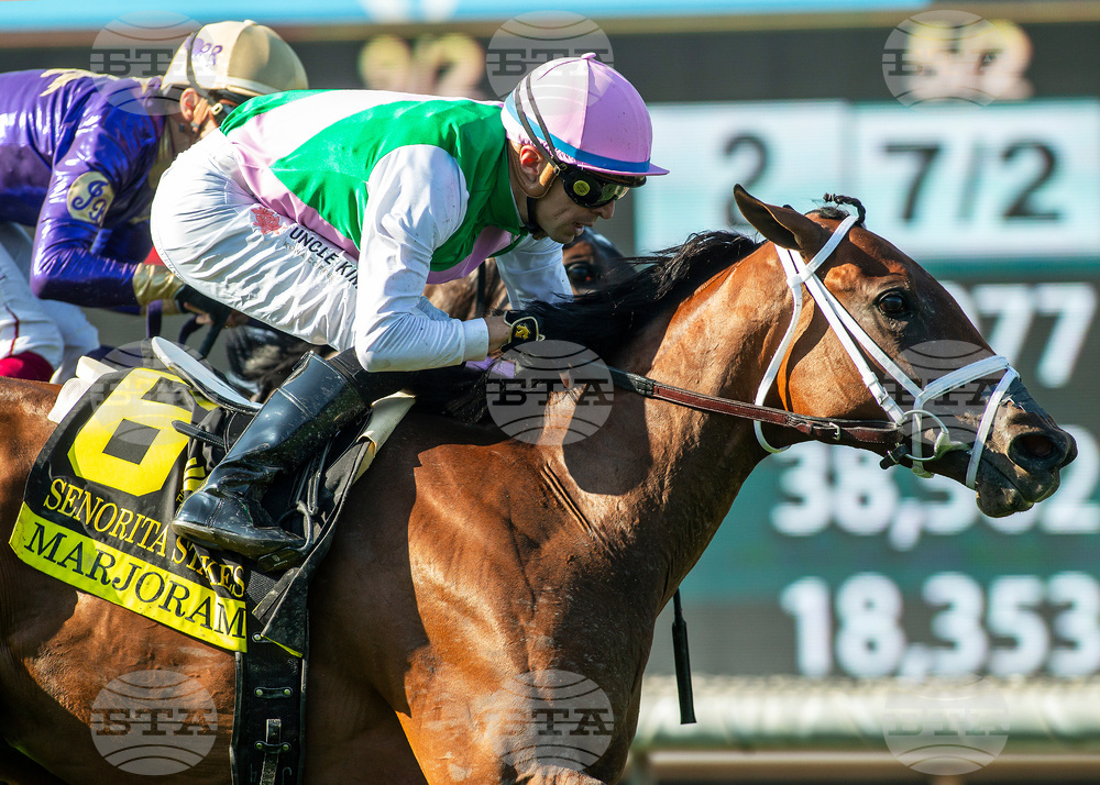 Santa Anita Horse Racing