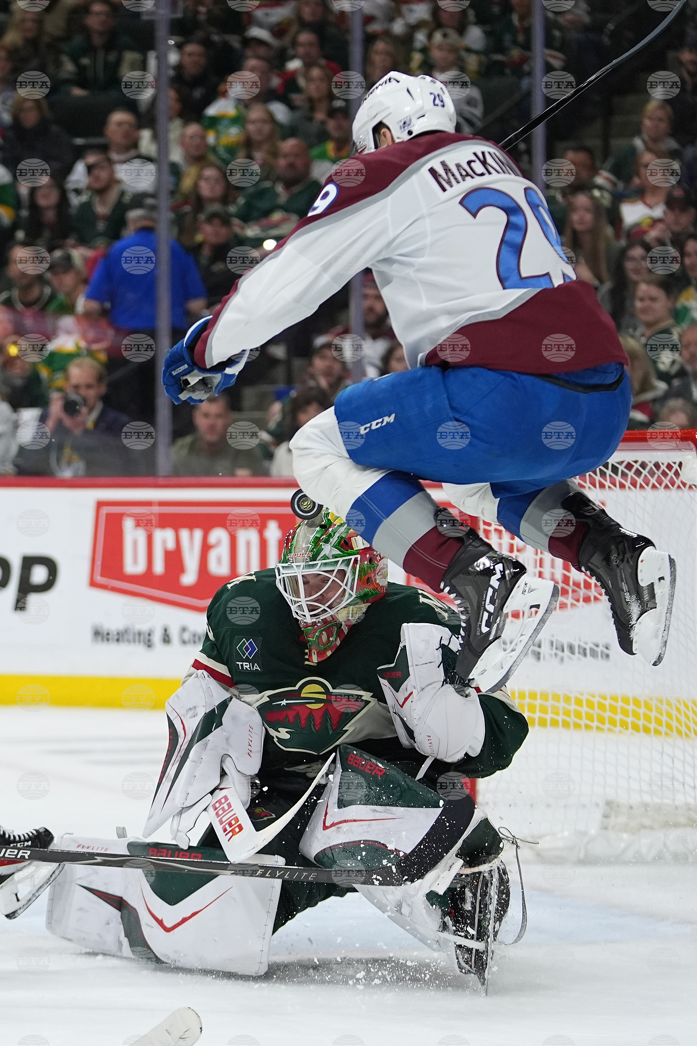 Avalanche Wild Hockey