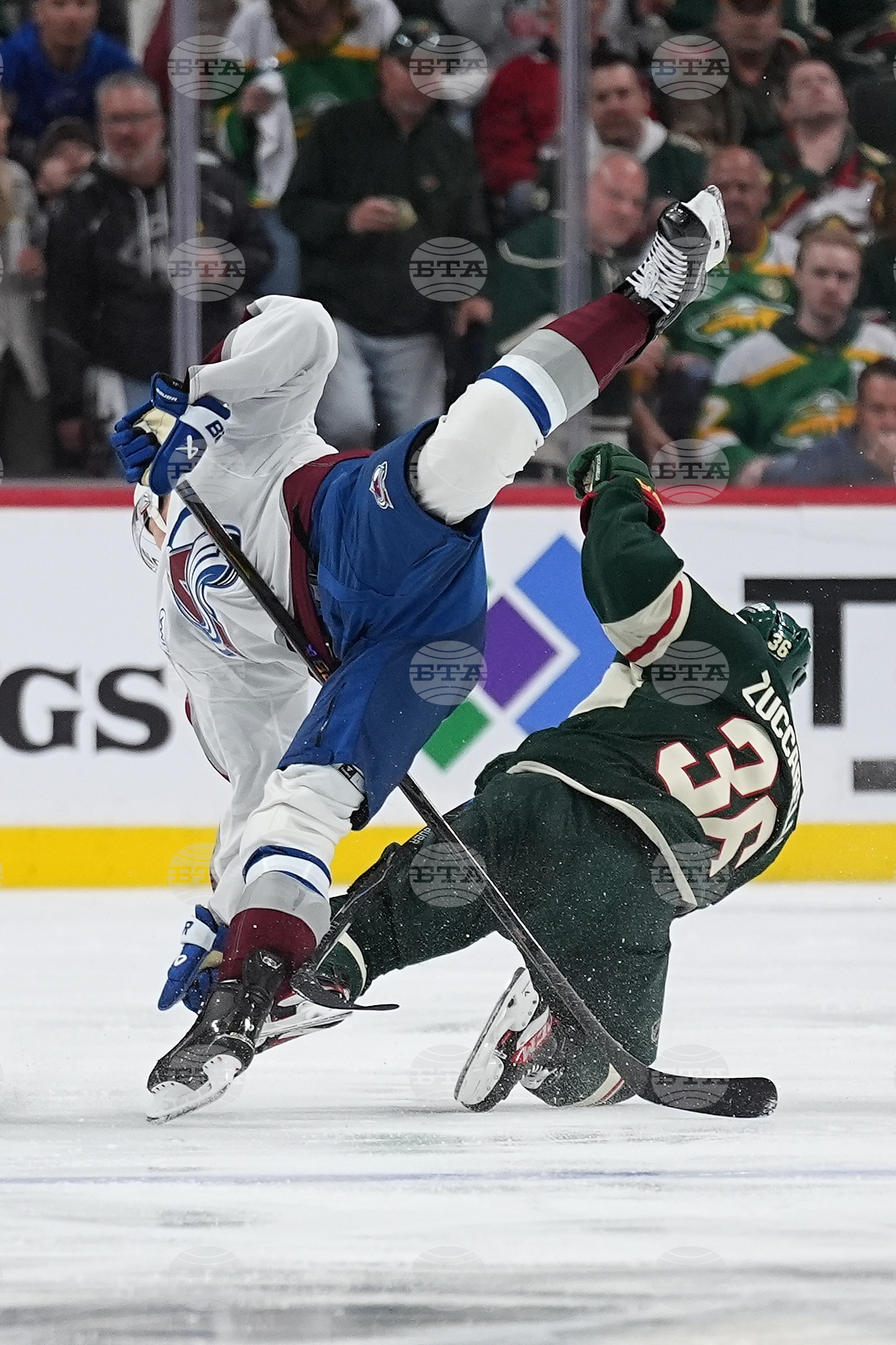 Avalanche Wild Hockey