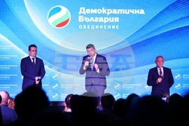 „Демократична България“ - среща