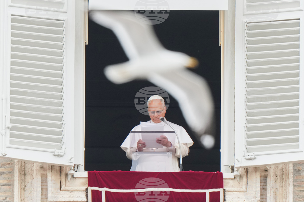 Vatican Pope