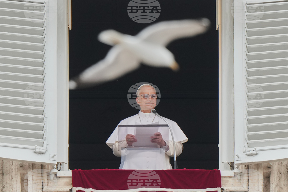 Vatican Pope