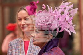 Romania World Hat Walk