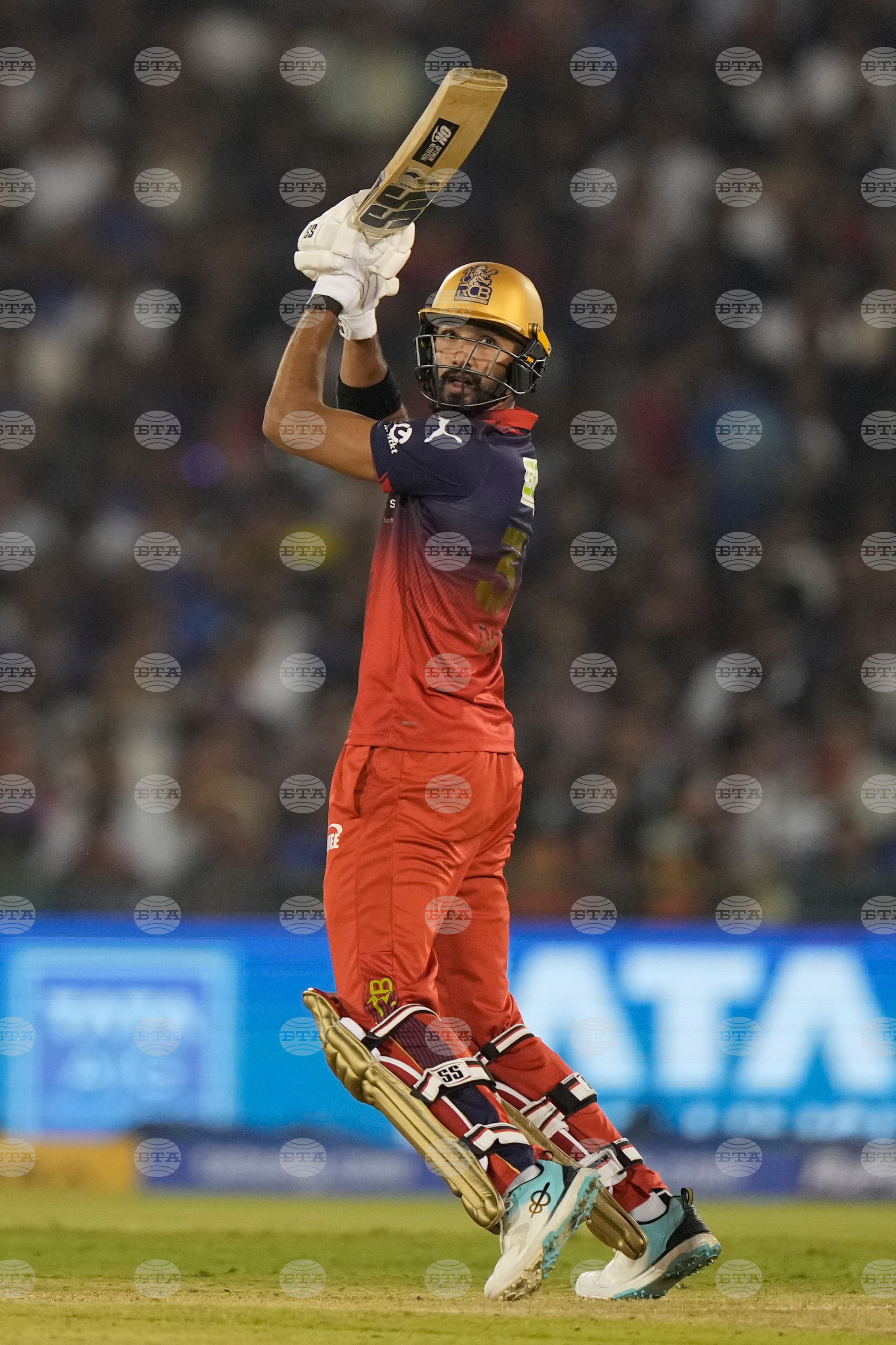 India IPL Cricket