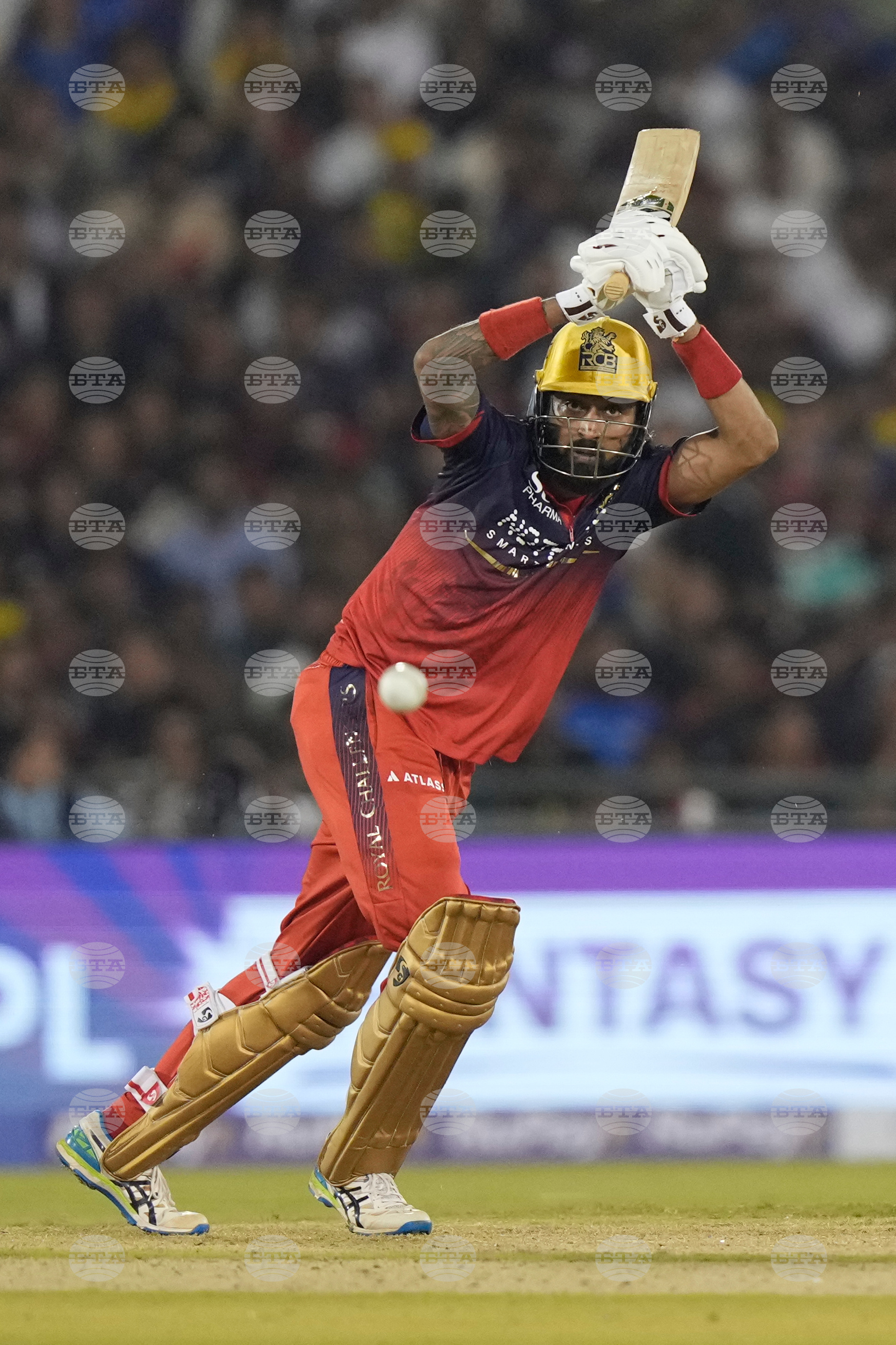 India IPL Cricket