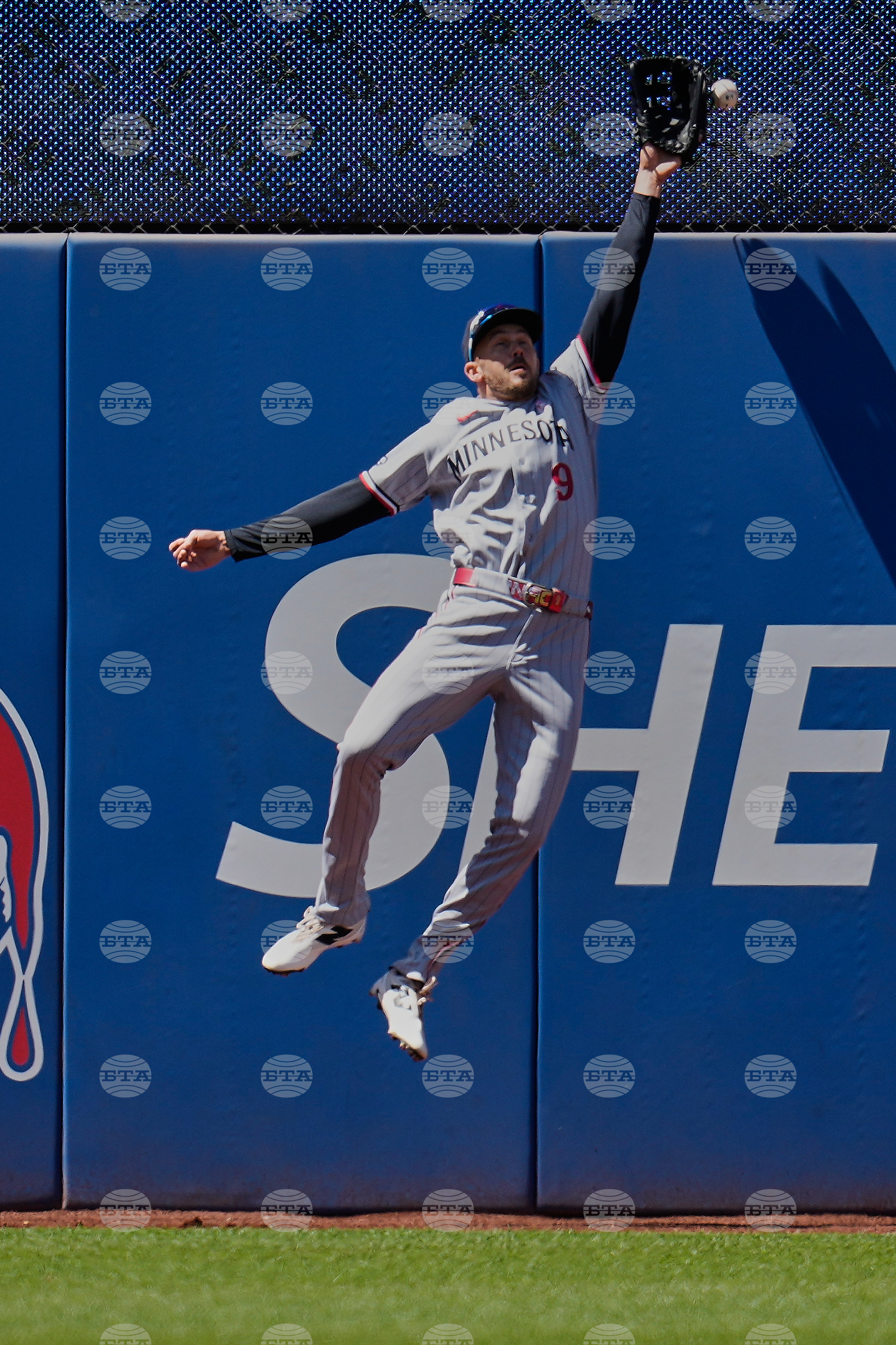 Twins Guardians Baseball