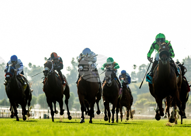 Santa Anita Horse Racing