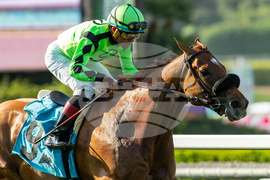 Santa Anita Horse Racing