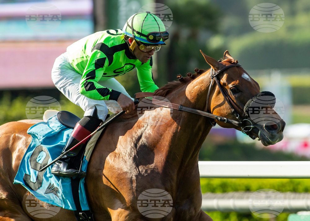 Santa Anita Horse Racing