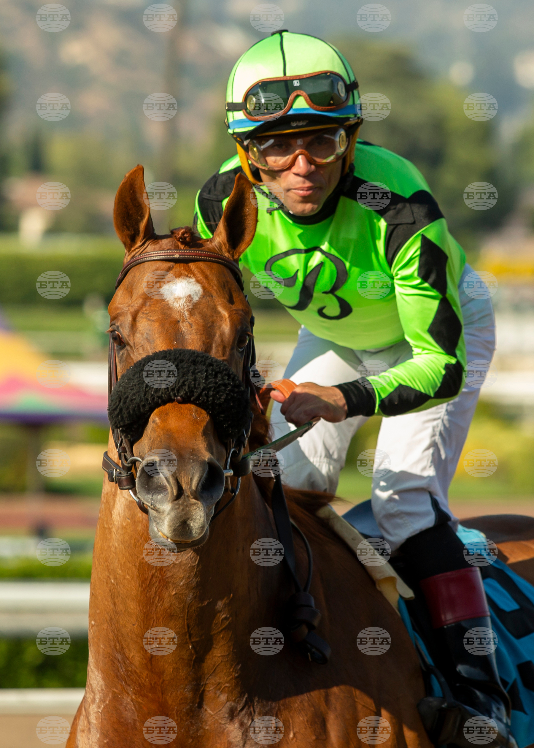 Santa Anita Horse Racing