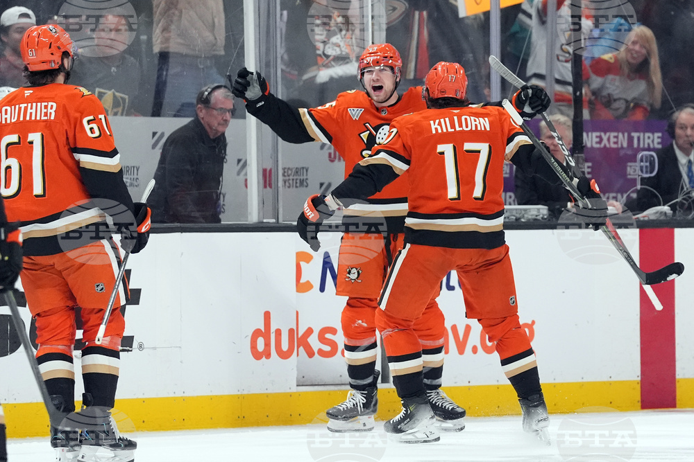 Golden Knights Ducks Hockey